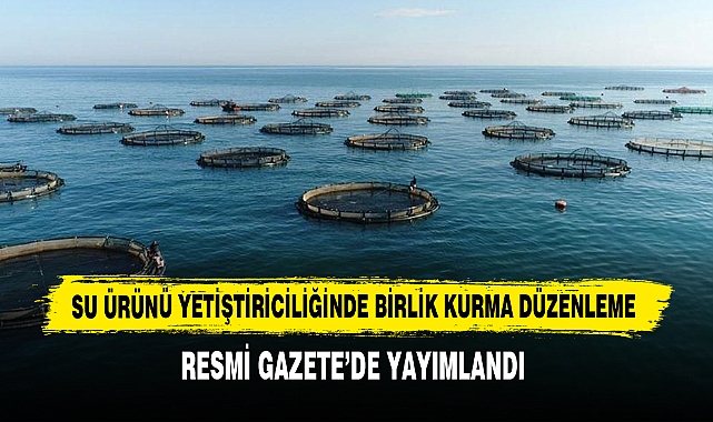 Su Ürünü Yetiştiriciliğinde Birlik Kurma Düzenleme