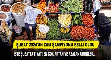 Şubat 2024'ün Zam Şampiyonu Belli Oldu