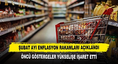Şubat Ayı Enflasyon Rakamları Açıklandı