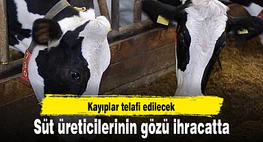 Süt üreticilerinin gözü ihracatta