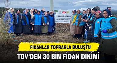 TDV’DEN 30 BİN FİDAN DİKİMİ