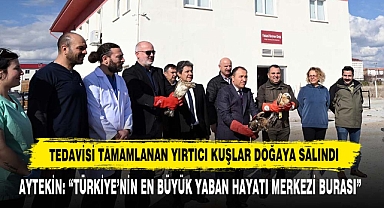 Tedavisi Tamamlanan Yırtıcı Kuşlar Doğaya Salındı