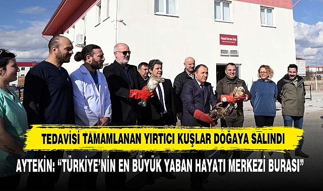 Tedavisi Tamamlanan Yırtıcı Kuşlar Doğaya Salındı