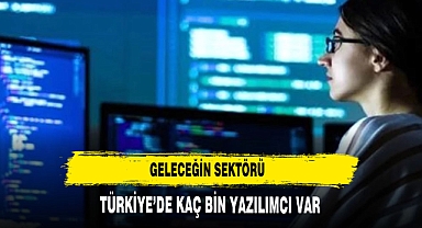 TÜRKİYE'DE KAÇ BİN YAZILIMCI VAR