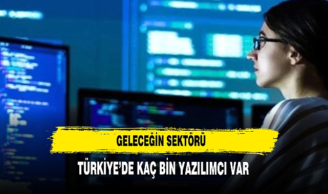 TÜRKİYE'DE KAÇ BİN YAZILIMCI VAR