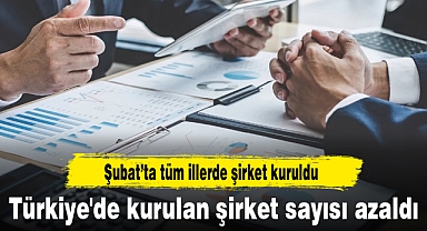 Türkiye'de kurulan şirket sayısı azaldı