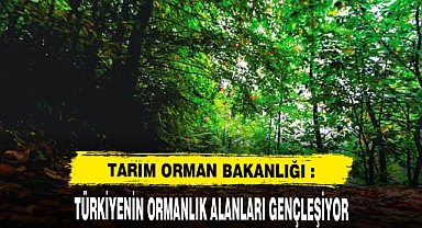 Türkiyenin ormanlık alanları gençleştirildi