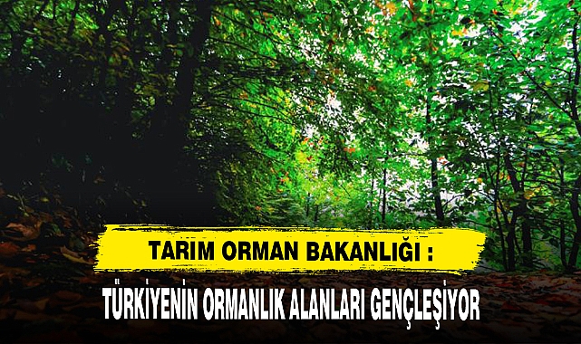 Türkiyenin ormanlık alanları gençleştirildi