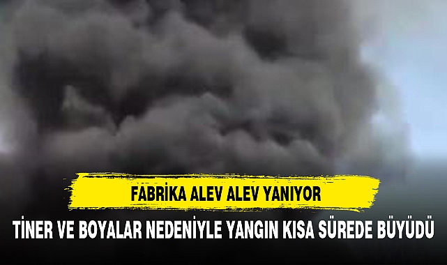 Tuzla'da dev fabrika alev alev yanıyor