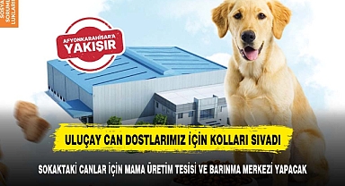 ULUÇAY SOKAKTAKİ CANLAR İÇİN MAMA ÜRETİM TESİSİ VE BARINMA MERKEZİ YAPACAK