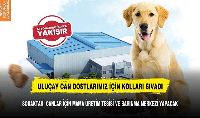 ULUÇAY SOKAKTAKİ CANLAR İÇİN MAMA ÜRETİM TESİSİ VE BARINMA MERKEZİ YAPACAK