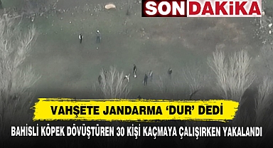 Vahşete Jandarma ‘Dur’ Dedi