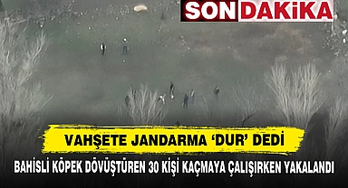 Vahşete Jandarma ‘Dur’ Dedi