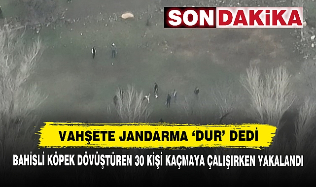 Vahşete Jandarma ‘Dur’ Dedi