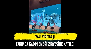 Vali Yiğitbaşı Emektar Kadınların Zirvesine Katıldı