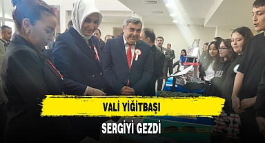 Vali Yiğitbaşı Sergiyi Gezdi
