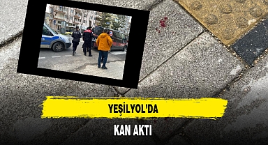 Yeşilyol'da Kan Aktı