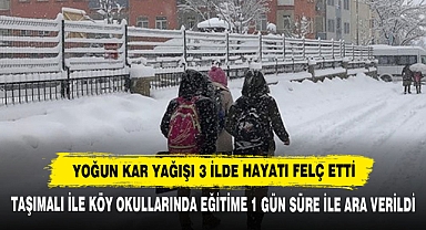 Yoğun Kar Yağışı 3 İlde Hayatı Felç Etti