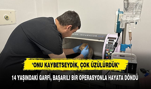 14 YAŞINDAKİ GARFİ, BAŞARILI BİR OPERASYONLA HAYATA DÖNDÜ