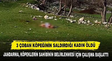 3 Çoban Köpeğinin Saldırdığı Kadın Öldü