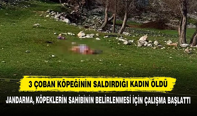 3 Çoban Köpeğinin Saldırdığı Kadın Öldü