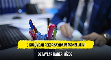 3 kurum toplamda 663 personel almak için ilana çıktı