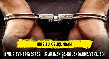 3 YIL 9 AY HAPİS CEZASI İLE ARANAN ŞAHSI JANDARMA YAKALADI