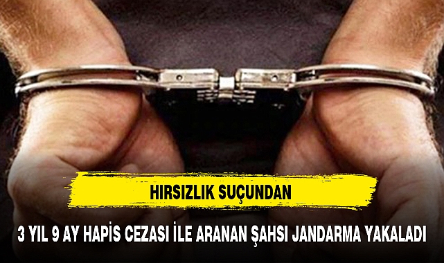 3 YIL 9 AY HAPİS CEZASI İLE ARANAN ŞAHSI JANDARMA YAKALADI