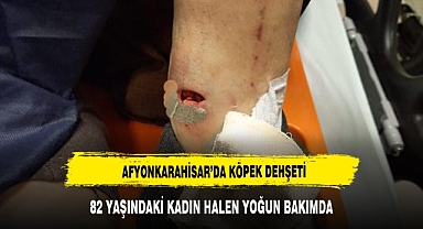 AFYON'DA 82 YAŞINDAKİ KADINI KÖPEK ISIRDI YOĞUN BAKIMA ALINDI
