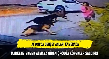 AFYON'DA DEHŞET ANLARI GÜVENLİK KAMERASINDA