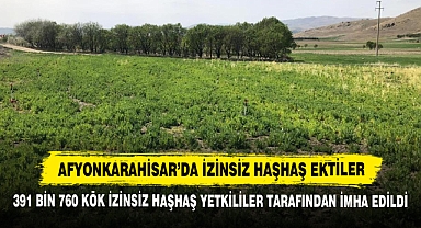 Afyonkarahisar’da İzinsiz Haşhaş Ektiler