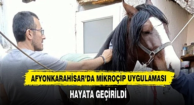 Afyonkarahisar’da Mikroçip Uygulaması  Hayata Geçirildi
