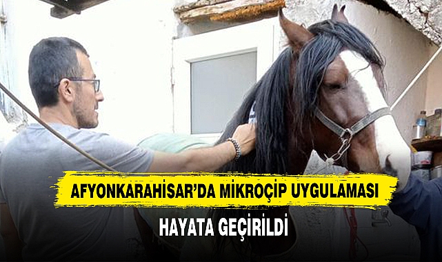 Afyonkarahisar’da Mikroçip Uygulaması  Hayata Geçirildi