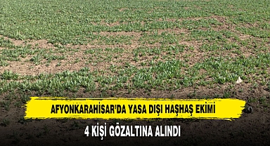 Afyonkarahisar’da Yasa Dışı Haşhaş Ekimi