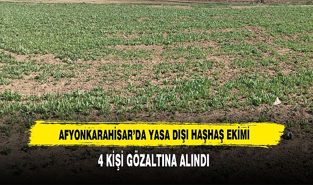 Afyonkarahisar’da Yasa Dışı Haşhaş Ekimi