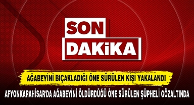 Ağabeyini Bıçakladığı Öne Sürülen Kişi Yakalandı