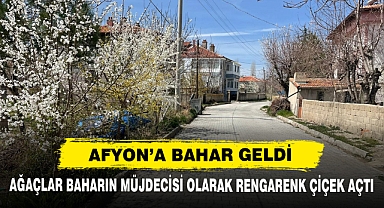Ağaçlar Baharın Müjdecisi Olarak Rengarenk Çiçek Açtı
