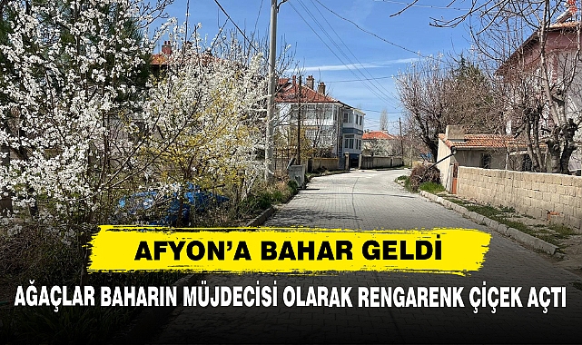 Ağaçlar Baharın Müjdecisi Olarak Rengarenk Çiçek Açtı