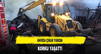 Ahırda Çıkan Yangın Korku Yaşattı