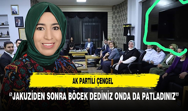 AK Partili Çengel ''Jakuziden Sonra Böcek Dediniz Onda da Patladınız''