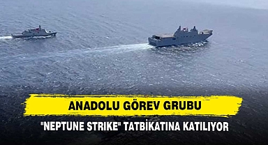Anadolu Görev Grubu;