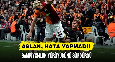 ASLAN, HATA YAPMADI!