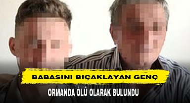 Babasını Bıçaklayan Genç Ormanda Ölü Olarak Bulundu