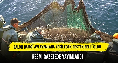Balon Balığı Avlayanlara Verilecek Destek Belli Oldu