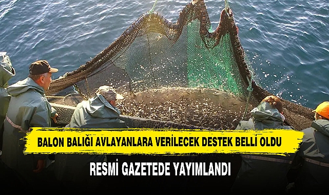 Balon Balığı Avlayanlara Verilecek Destek Belli Oldu