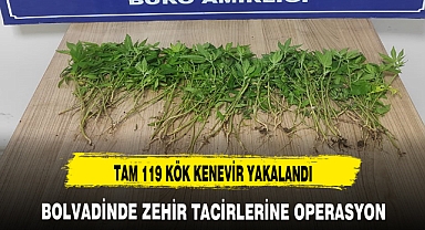 BOLVADİNDE ZEHİR TACİRLERİNE OPERASYON !