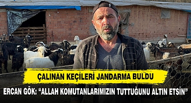 Çalınan Keçileri Jandarma Buldu
