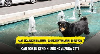 CAN DOSTU KENDİNİ SÜS HAVUZUNA ATTI