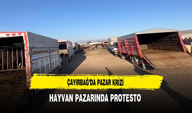 ÇAYIRBAĞ HAYVAN PAZARINDA PROTESTO !!