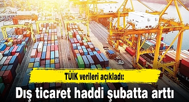 Dış ticaret haddi şubatta arttı